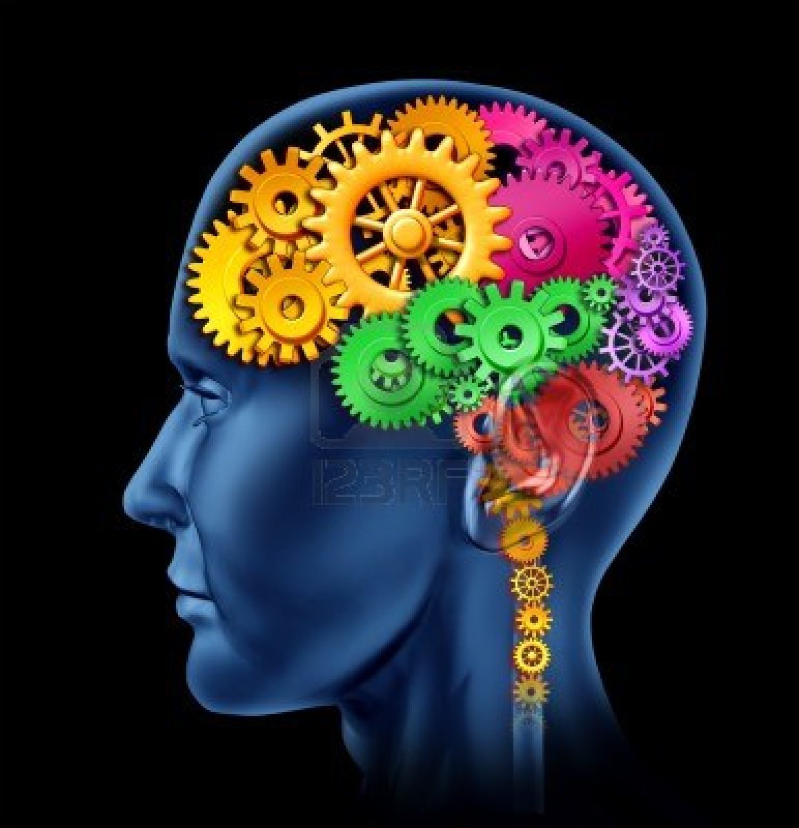 10503774-brain-lobe-sections-made-of-cogs-and-gears-representing-intelligence-and-divisions-of-mental-neurolo